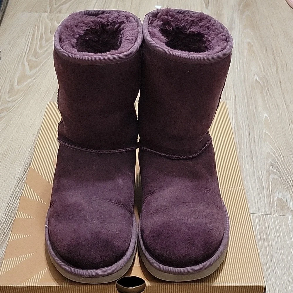Classic UGG short - Picture 7 of 7